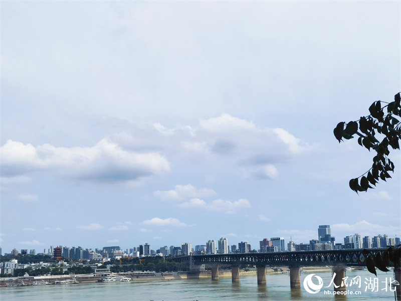 武汉长江大桥。人民网记者 周雯摄